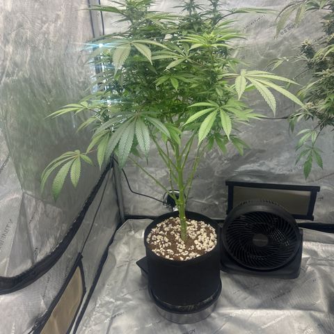 UM growlog timeline photo