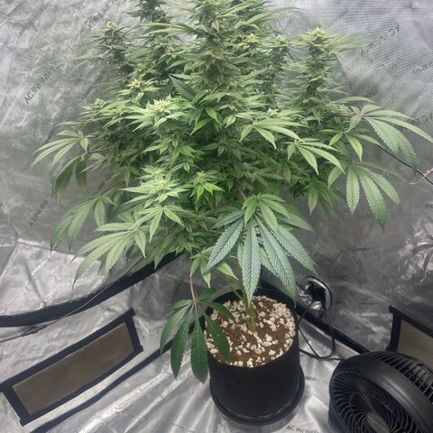 UM growlog timeline photo