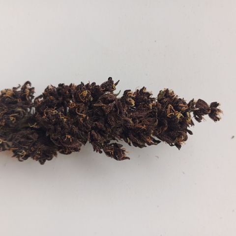 Naranja Diesel growlog timeline photo