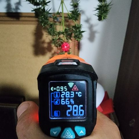 Oreoz growlog timeline photo