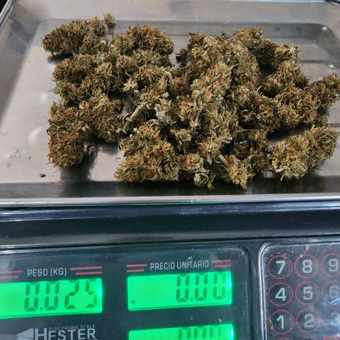 Oreoz growlog timeline photo