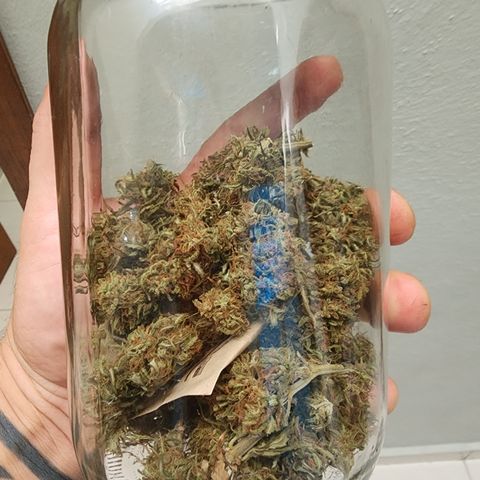 Oreoz growlog timeline photo