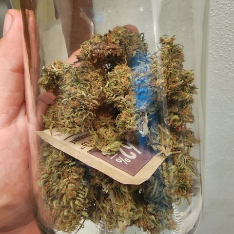 Oreoz growlog timeline photo