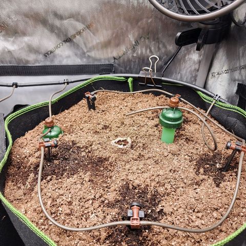 Gorilla Auto growlog timeline photo