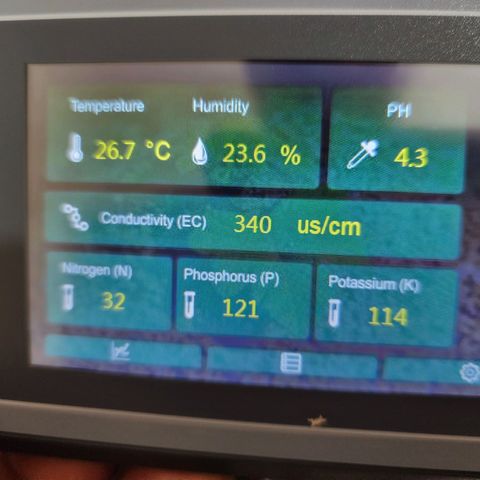 Gorilla Auto growlog photo: Segunda posición 