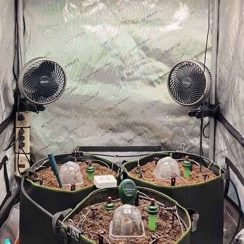 Zkittlez Auto 1 growlog timeline photo