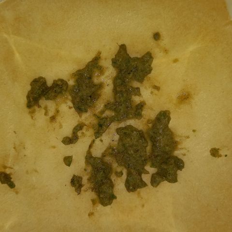 Purple Bud growlog photo: ICE hash aus schnittresten.