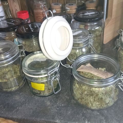 Critical growlog timeline photo
