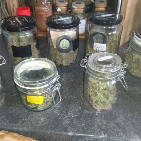 Critical growlog timeline photo
