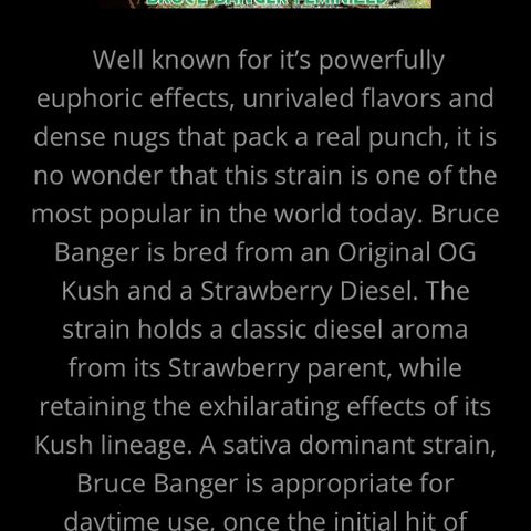 Bruce banger 1 growlog timeline photo