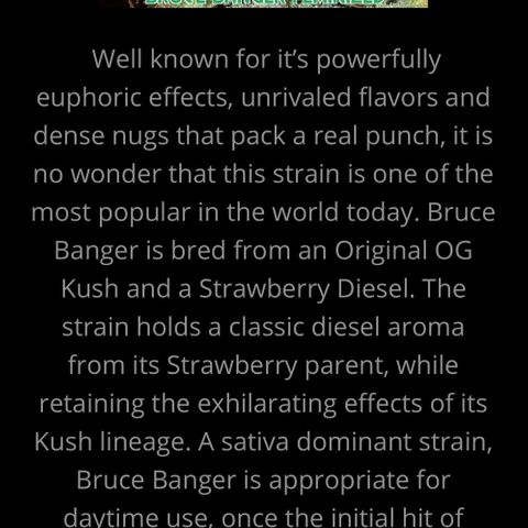 Bruce banger 3 growlog timeline photo