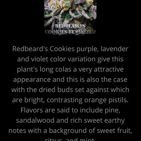 Redbeards cookies 2 growlog timeline photo