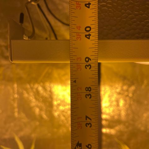 Bruce banger 3 growlog timeline photo