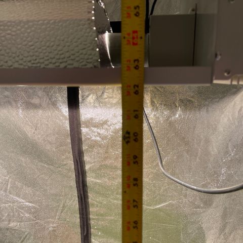 Bruce banger 3 growlog timeline photo