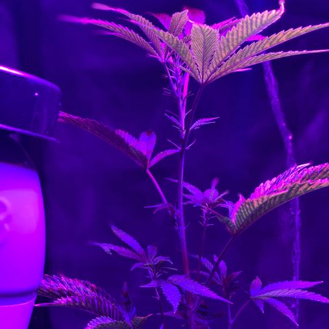 Jodi growlog timeline photo