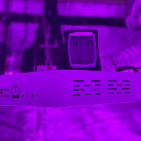 Jodi growlog timeline photo