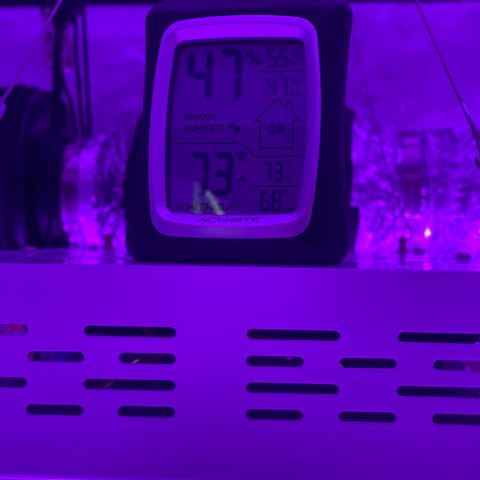 Jodi growlog timeline photo