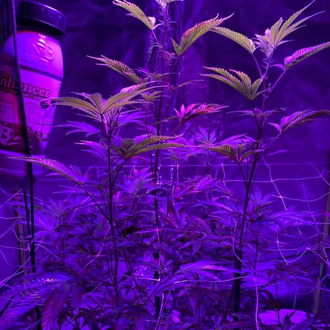 Jodi growlog timeline photo