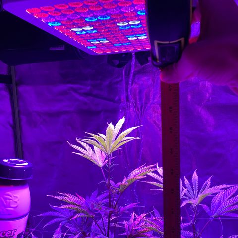 Jodi growlog timeline photo