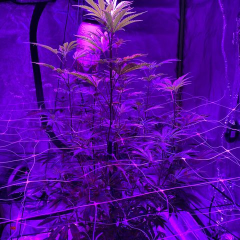 Jodi growlog timeline photo