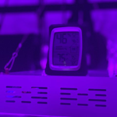 Jodi growlog timeline photo