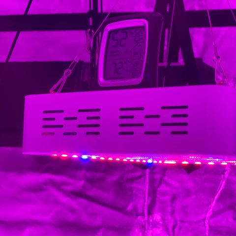 Jodi growlog timeline photo