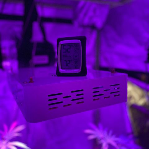 Jodi growlog timeline photo