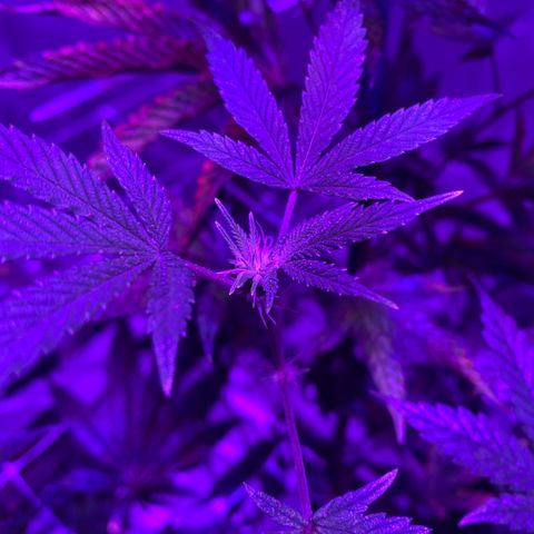 Jodi growlog timeline photo