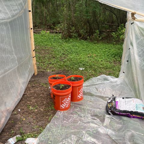 2023 Outdoor grow season 1 #1 growlog photo: Finished greenhouse 