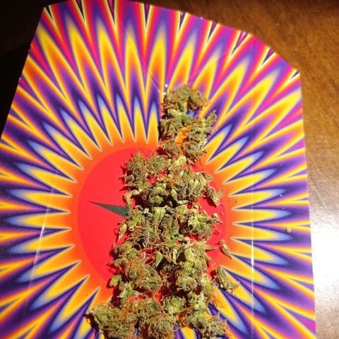 Low Afghan  growlog timeline photo