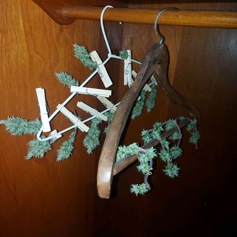 Jéssica growlog timeline photo