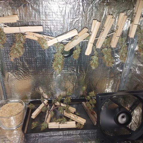 Jéssica growlog timeline photo