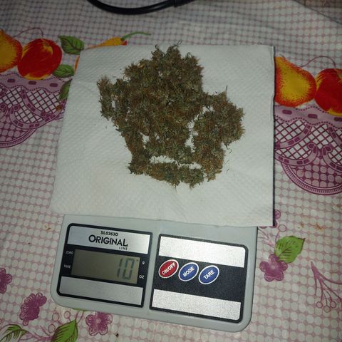Jéssica growlog timeline photo