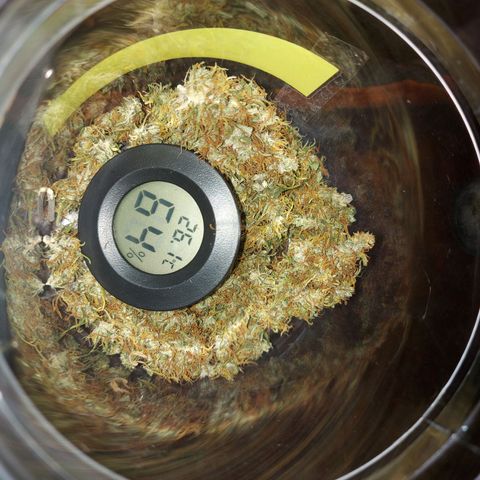 Jéssica growlog timeline photo