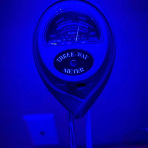 Gorilla Glue growlog photo: Added Moisture meter to 1 plant