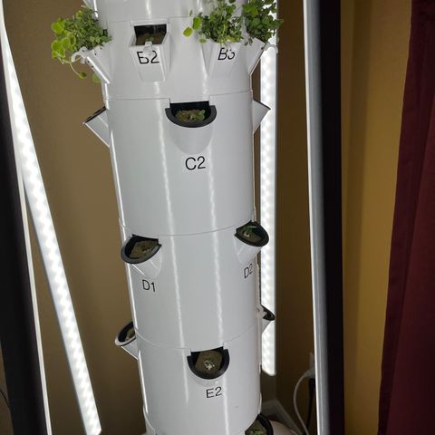 Tower Garden 2 growlog timeline photo