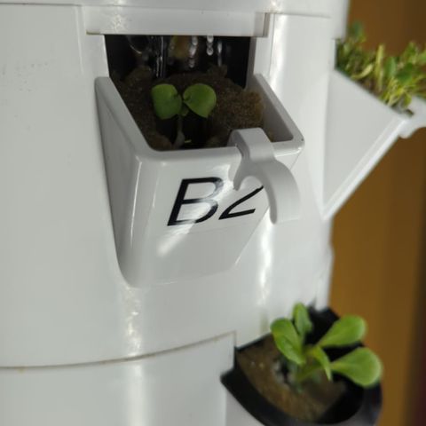 Tower Garden 2 growlog photo: B2 Geranium