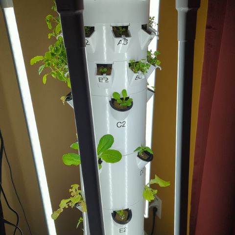 Tower Garden 2 growlog photo: E1 Transplant shock
Made 1 gal seedling liquid
PH 6.9
C1 is Red Salad Lettuce germinated in TG
E1 is Red Salad germinated in Tent