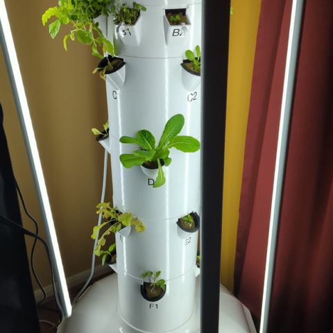 Tower Garden 2 growlog photo: E1 Transplant shock
Made 1 gal seedling liquid
PH 6.9
C1 is Red Salad Lettuce germinated in TG
E1 is Red Salad germinated in Tent