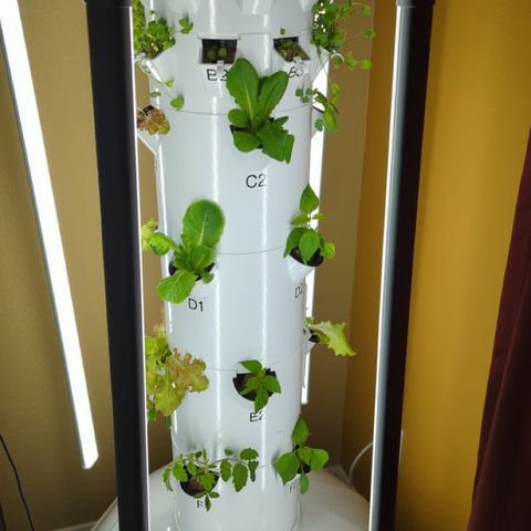 Tower Garden 2 growlog timeline photo