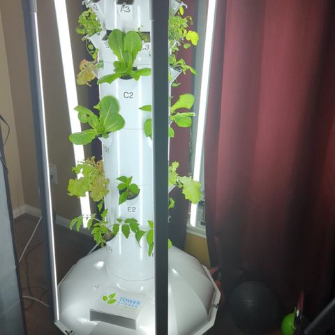 Tower Garden 2 growlog timeline photo