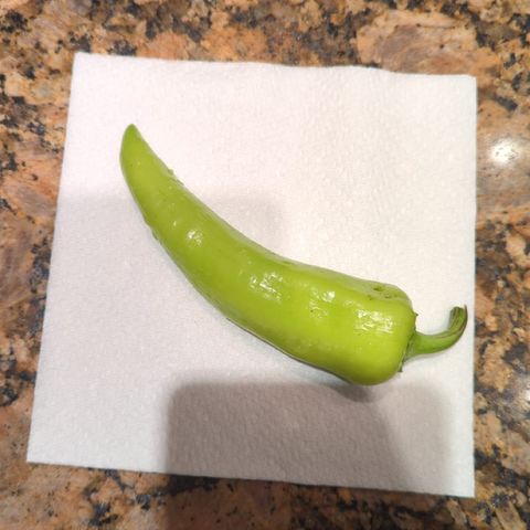 Tower Garden 2 growlog photo: First Pepper J outdoor garden