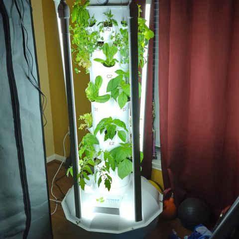 Tower Garden 2 growlog photo: PH 7.1 added 1tsp - now 5.7
