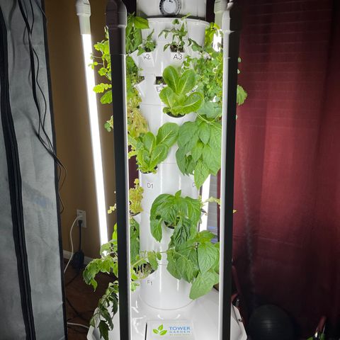 Tower Garden 2 growlog timeline photo