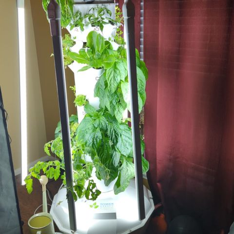Tower Garden 2 growlog photo: Added 2 gallons of mix. pH is 6.7
