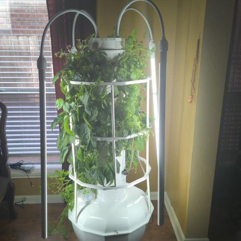Tower Garden 2 growlog photo: Added cage today
