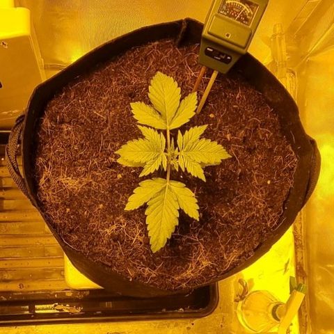 AUTO Think Different growlog timeline photo