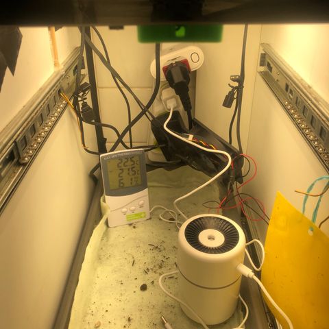 Latifa.2 growlog photo: Estrtura do grow