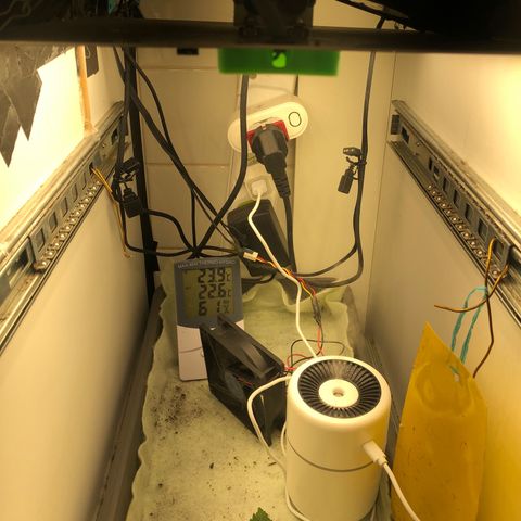Latifa.2 growlog photo: Estrutura do grow, fans girando em 5v, garantindo um leve vento sobre as folhas