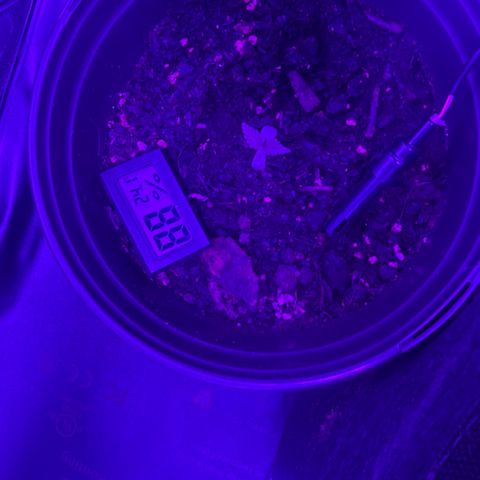 cookies and cream growlog timeline photo